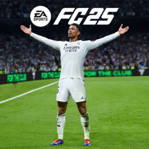 EA SPORTS FC 25 PC Steam Account